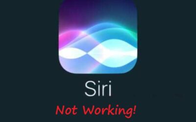 Siri Not Working on iPhone?