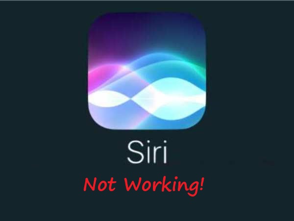 Siri Not Working on iPhone?